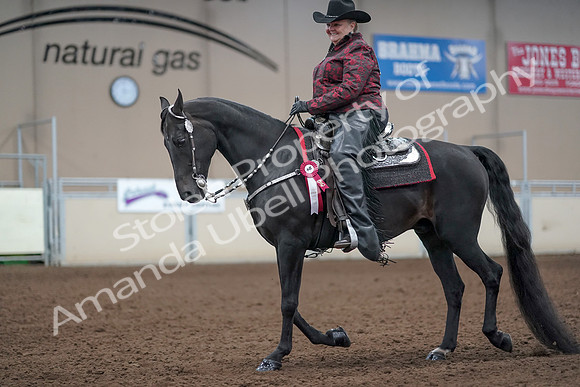 2019 Morgan Horse Show - Aug 31, 2019 - 10813