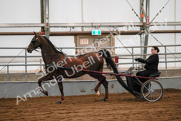 July 19, 2019 - 7046