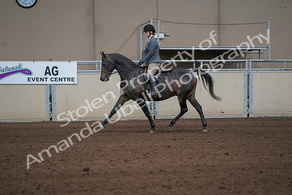 2019 Morgan Horse Show - Sept 01, 2019 - 10922_1