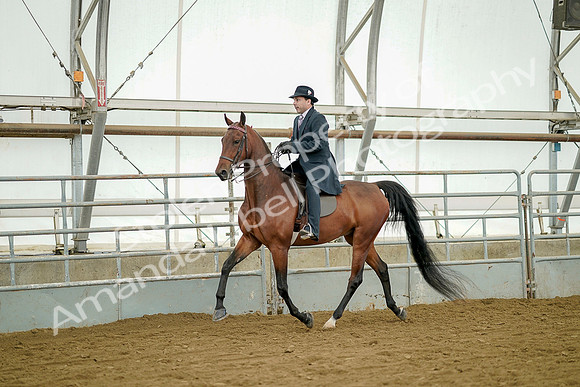 July 20, 2019 - 07362