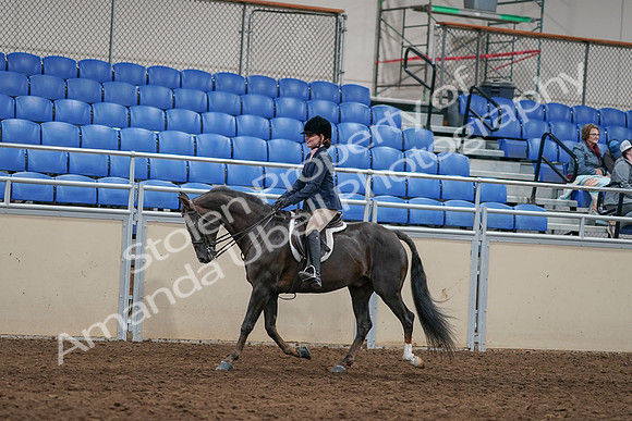 2020 - AB Morgan Horse - Sun, Sept 06 - 07959