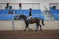 2019 Morgan Horse Show - Aug 31, 2019 - 08051