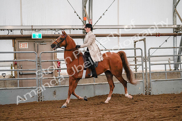 July 19, 2019 - 9031