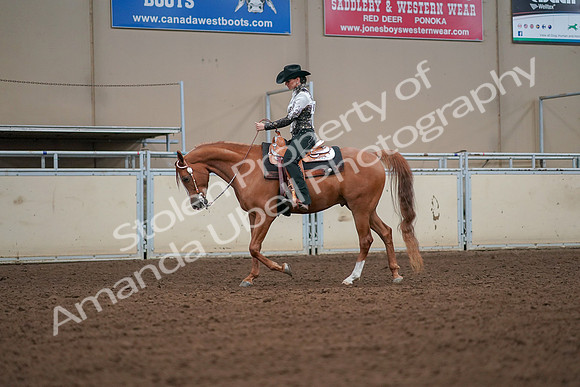 2019 Morgan Horse Show - Aug 30, 2019 - 16781