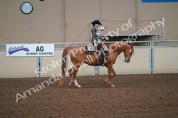 2019 Morgan Horse Show - Aug 30, 2019 - 17033