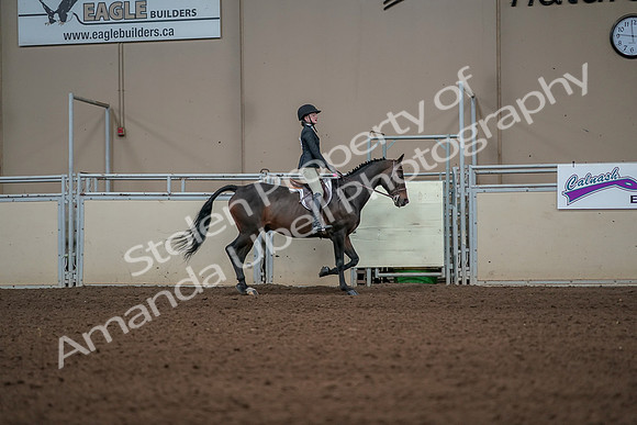 2019 Morgan Horse Show - Aug 31, 2019 - 05159