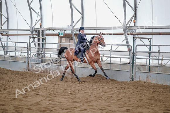 July 20, 2019 - 14006