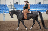 2019 Morgan Horse Show - Aug 31, 2019 - 06024