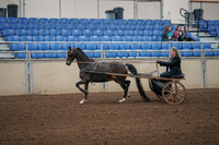 2019 Morgan Horse Show - Aug 31, 2019 - 04237