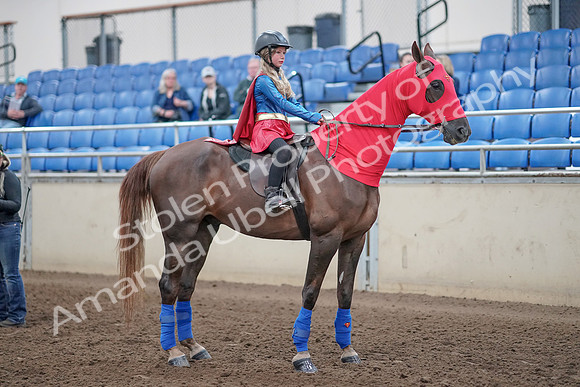 2019 Morgan Horse Show - Aug 31, 2019 - 10129