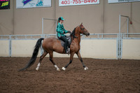 2019 Morgan Horse Show - Aug 30, 2019 - 30640