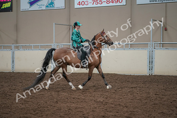 2019 Morgan Horse Show - Aug 30, 2019 - 30640