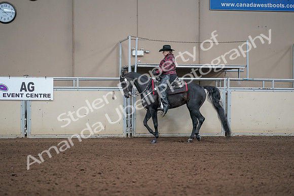 2019 Morgan Horse Show - Aug 31, 2019 - 10612