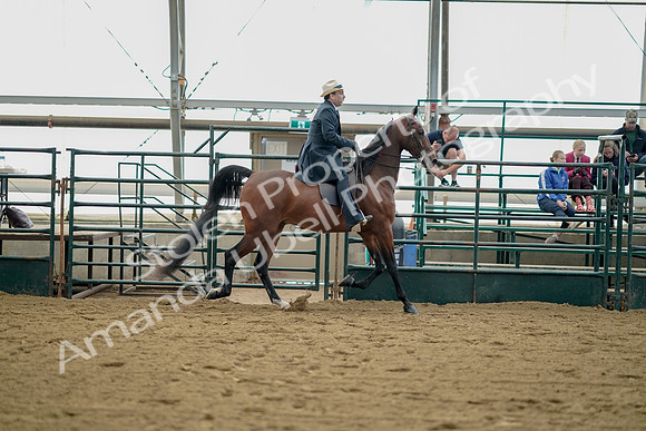 July 21, 2019 - 01861