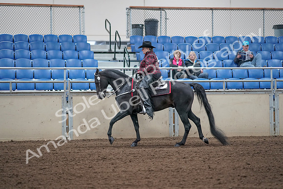 2019 Morgan Horse Show - Aug 31, 2019 - 10655