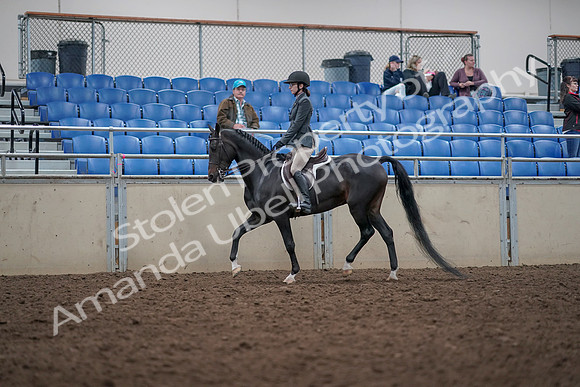 2019 Morgan Horse Show - Aug 31, 2019 - 14686