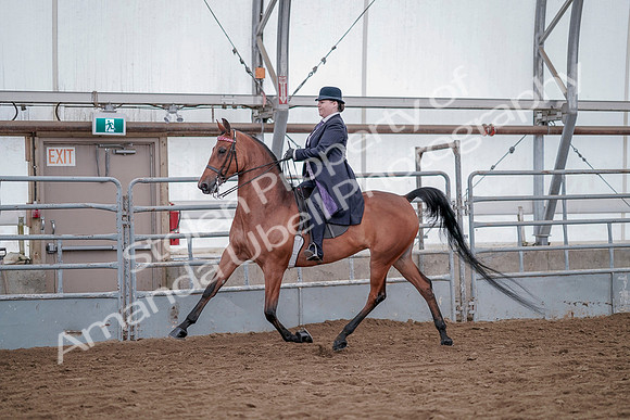 July 20, 2019 - 13762