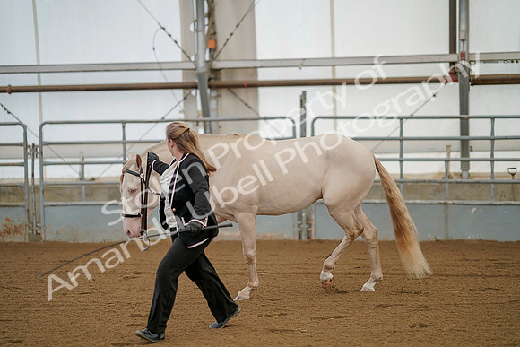 July 19, 2019 - 355