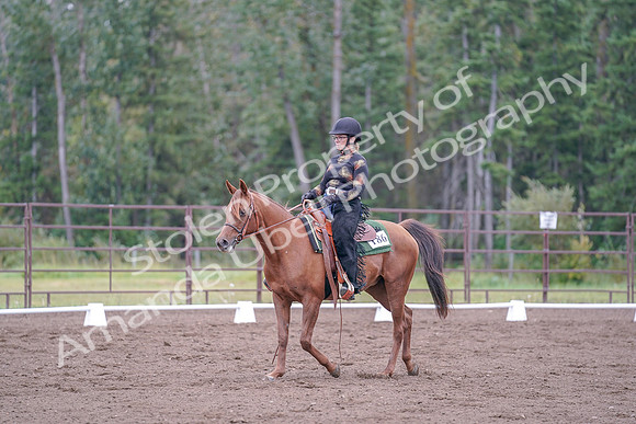 2019 Morgan Horse Show - Aug 30, 2019 - 00226