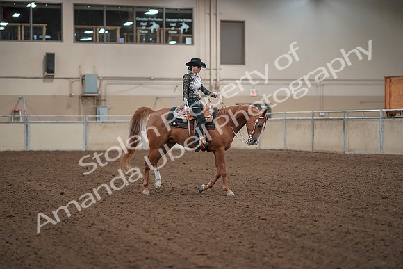 2019 Morgan Horse Show - Aug 30, 2019 - 26220