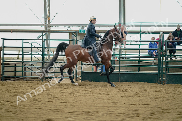 July 21, 2019 - 01735