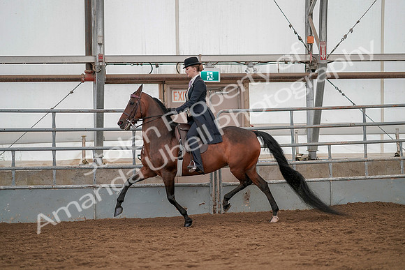 July 20, 2019 - 04378