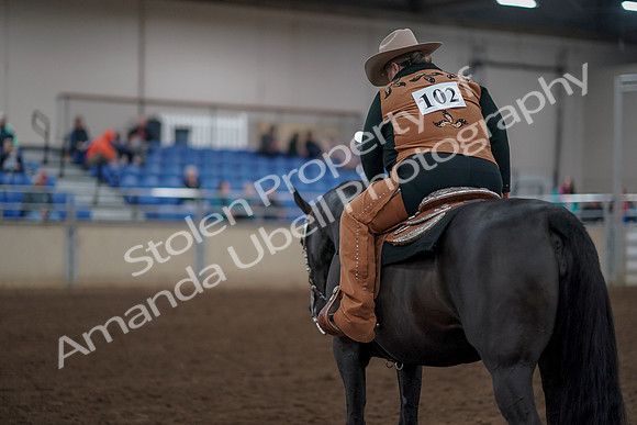 2019 Morgan Horse Show - Aug 31, 2019 - 06242