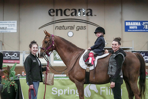 Spring Fling - Saturday - April 20, 2019  -  00165