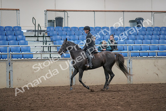 2019 Morgan Horse Show - Aug 31, 2019 - 07364
