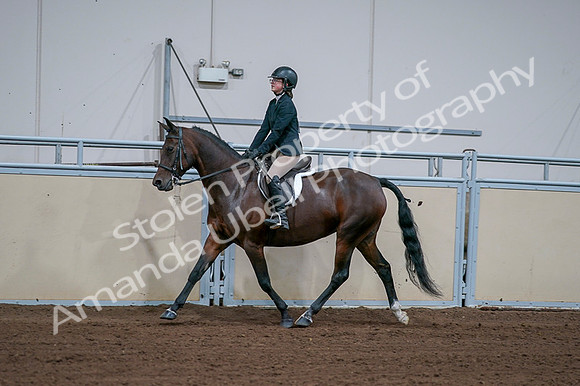 2020 - AB Morgan Horse - Fri, Sept 04 - 01664