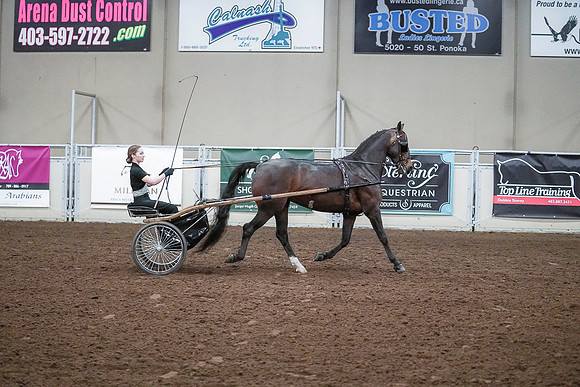 Spring Fling - Saturday - April 20, 2019  -  00326