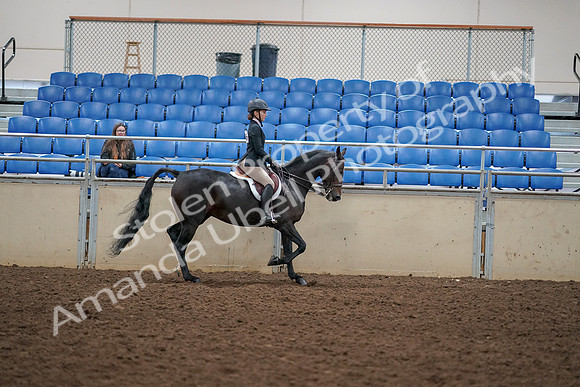2019 Morgan Horse Show - Aug 30, 2019 - 12456