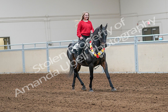 2020 - AB Morgan Horse - Sat, Sept 05 - 10497