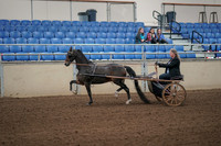 2019 Morgan Horse Show - Aug 31, 2019 - 04233