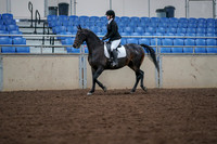 2019 Morgan Horse Show - Aug 30, 2019 - 18304