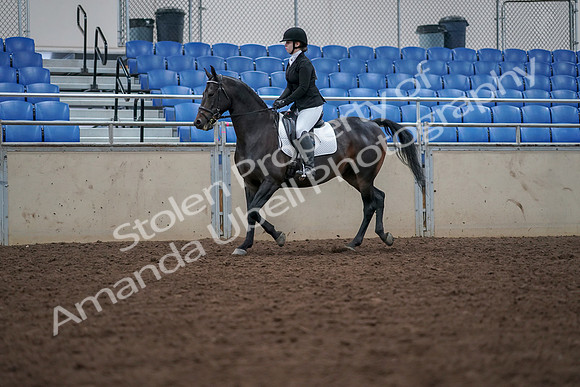 2019 Morgan Horse Show - Aug 30, 2019 - 18304