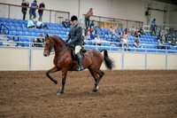 2020 - AB Morgan Horse - Sat, Sept 05 - 06866