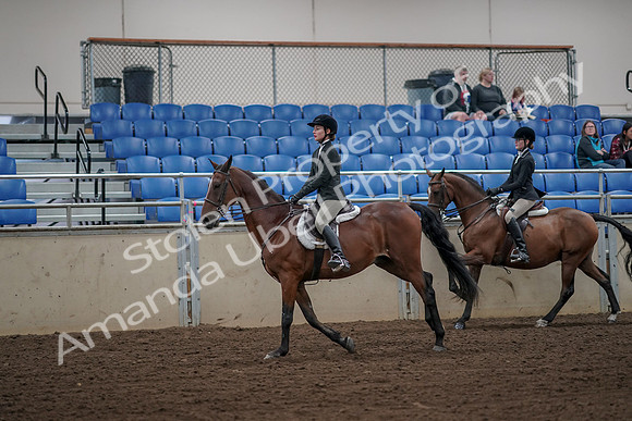 2019 Morgan Horse Show - Aug 31, 2019 - 05104