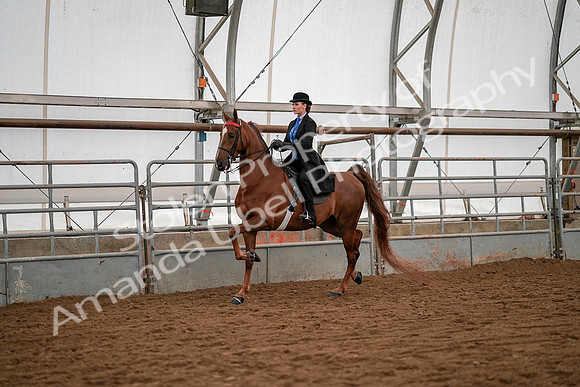 July 19, 2019 - 10447