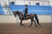 2019 Morgan Horse Show - Sept 01, 2019 - 11206