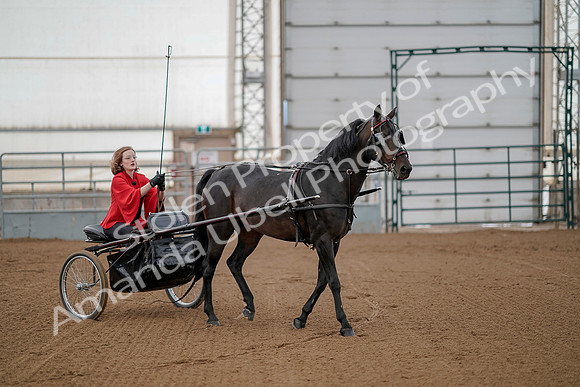 July 20, 2019 - 00173