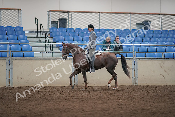 2019 Morgan Horse Show - Aug 31, 2019 - 07252