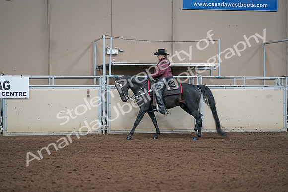 2019 Morgan Horse Show - Aug 31, 2019 - 10608
