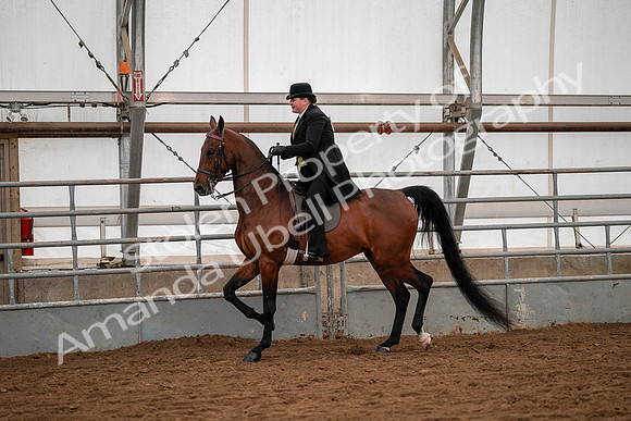 July 19, 2019 - 10274