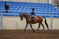 2020 - AB Morgan Horse - Sun, Sept 06 - 07684
