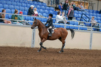 2020 - AB Morgan Horse - Sat, Sept 05 - 10610