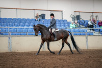 2019 Morgan Horse Show - Aug 30, 2019 - 13878