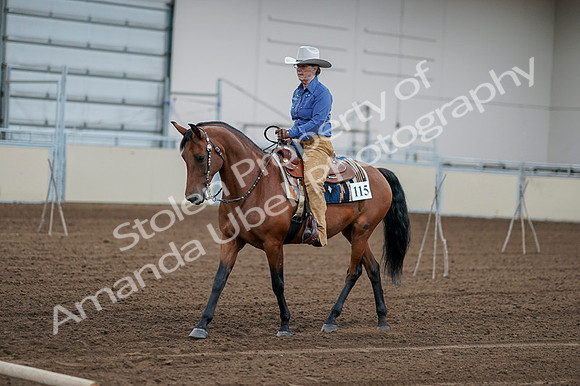 2020 - AB Morgan Horse - Fri, Sept 04 - 00140