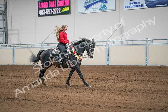 2020 - AB Morgan Horse - Sat, Sept 05 - 10544