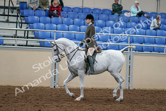 2020 - AB Morgan Horse - Sat, Sept 05 - 14444